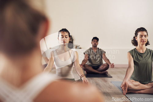 Image of Yoga, meditation and group in a wellness and health class to relax with zen and peace. Female people, spiritual and holistic exercise with calm lotus pose with workout, fitness and body in a gym