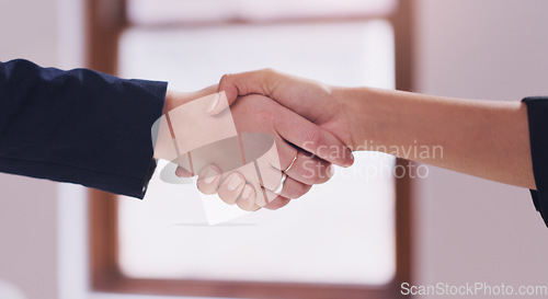 Image of Business women, handshake and agreement to deal, partnership or b2b negotiation closeup. Professional people shaking hands for a client thank you, congratulations or hiring employee as HR partner