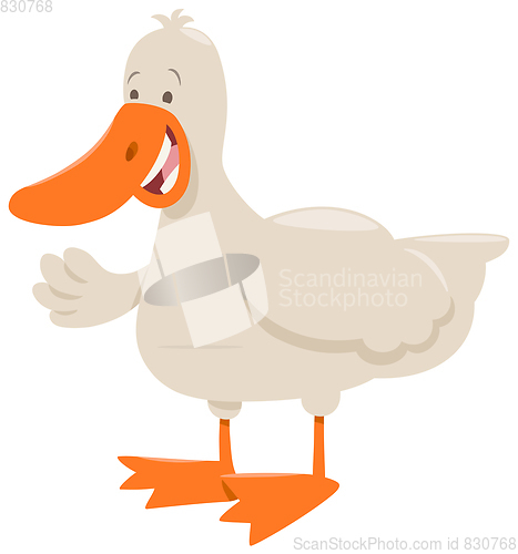 Image of duck farm animal cartoon