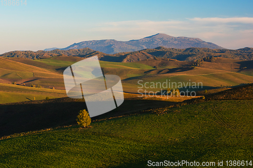 Image of Beauty summer evening in the mountains