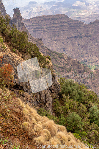Image of Semien or Simien Mountains, Ethiopia, Africa