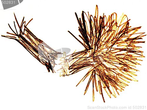Image of broken tree