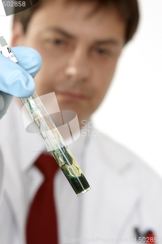 Image of Forensic Blood Testing  (final stage)