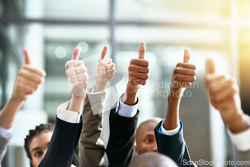 Image of Winner, thumbs up and group of people thank you, support or teamwork hands for vote, yes or like emoji. Collaboration, target or winning women and men in business ok, diversity success or thanks sign