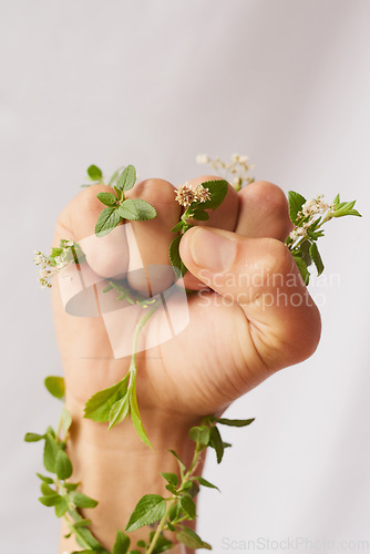 Image of Woman hand, green growth and fist for eco warrior, fight and revolution for sustainability protest. White background, studio and person with leaf and flower plant in hands for environment activist