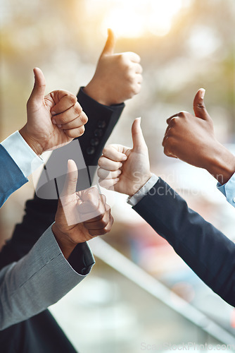 Image of Teamwork, hands and community with thumbs up for success, team building and motivation. Business people, hand gesture and like emoji for agreement, ok or excellence, support or group in collaboration