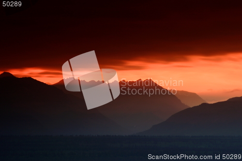 Image of Cutting The Orange Sunset