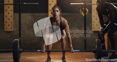 Image of Weight lifting, fitness and portrait of woman with barbell in gym for training, exercise and intense workout. Sports, coach and female body builder lifting weights for challenge, wellness or strength