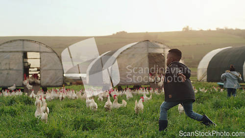 Image of Chicken, farm and children on field, running and energy with sustainable business in agriculture with livestock. Nature, playing and kids on grass, bonding in family farming in sustainability and fun