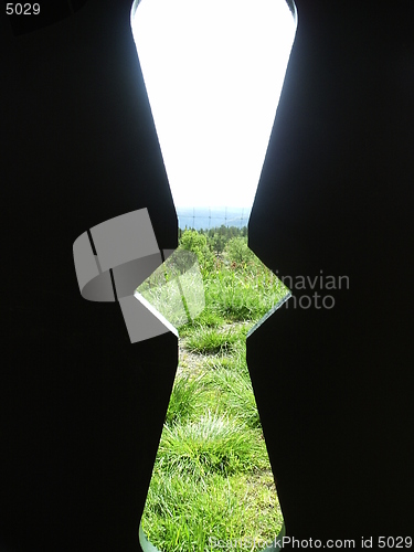 Image of Wood