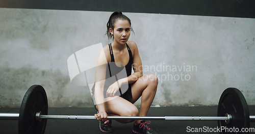 Image of Fitness, weight lifting and portrait of woman body builder in gym for training, exercise and intense workout. Strong body, muscle and female person lifting weights for challenge, wellness or strength