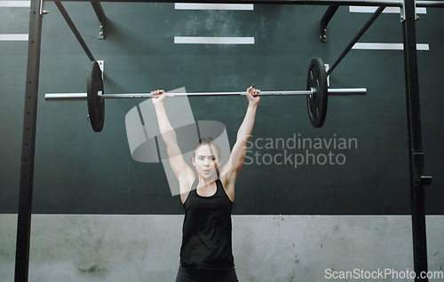 Image of Weight lifting, strong and portrait of woman with barbell for gym training, exercise and intense workout. Fitness, deadlift and female body builder lifting weights for challenge, wellness or strength