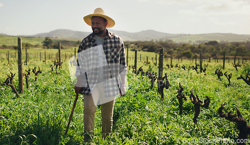 Image of Cane, agriculture and black man on farm for farming, nature or growth in countryside mockup. Walking stick, field and African male farmer with a disability, vegetables and sustainable plants for agro