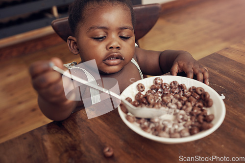 Image of Black child, cereal and eating baby in a home kitchen with food and bowl at breakfast. African girl, nutrition and youth in a house with hungry kid relax with chocolate fiber snack in the morning