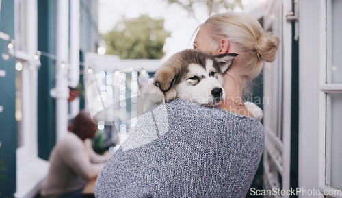 Image of Dogs, love and a woman carrying her pet in the home as a companion for trust, safety or friendship. Happy, dog and a female animal owner holding her purebred husky puppy with care in a house