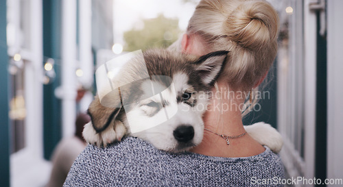 Image of Pet, love and a woman carrying her dog in the home as a companion for trust, safety or friendship. Happy, dogs and a female animal owner holding her purebred husky puppy over her shoulder in a house