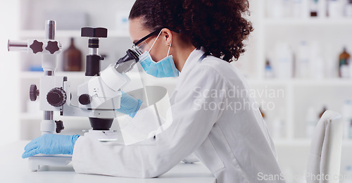 Image of Microscope, healthcare and woman scientist in a lab for science, medicine and data analysis. Laboratory, science and female health expert checking medical results and working on a cure for cancer