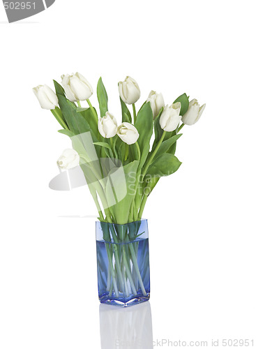 Image of Tulips