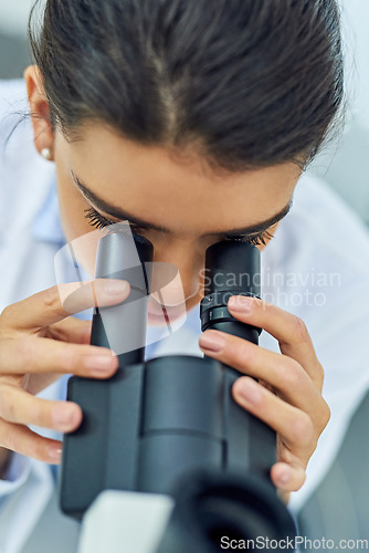 Image of Research, woman and scientist with microscope top view in lab for medical study. Healthcare, science and female doctor with scope equipment for experiment analysis, particle test and investigation.