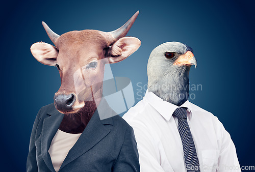 Image of Bull head, stock markets and finance or eagle or animals pose or surrealism and on studio background. Abstract, power and capital growth or business attire or corporate cow and alpha falcon face