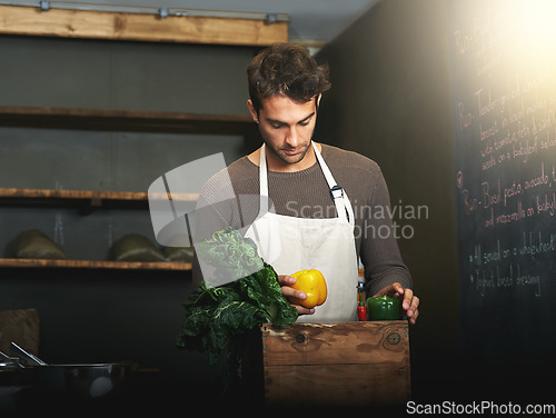 Image of Man, market and owner with vegetables or groceries in a bag for cooking or chef in the kitchen and at a supermarket. Male, shopkeeper and sorting healthy food dinner or packaging box of ingredients