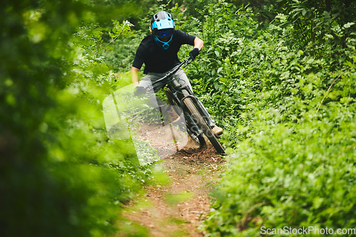 Image of Mountain bike, man and cycling in forest for adventure, freedom and power of off road challenge on path. Athlete, sports and bicycle for action, competition and cardio racing for adrenaline in nature