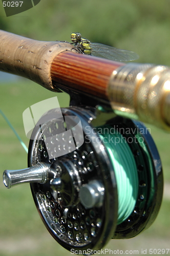 Image of Dragonfly on the rod