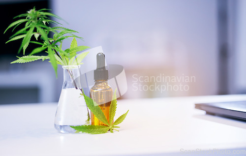 Image of Marijuana leaves, CBD oil and lab table for medical research, pharma study and development for healthcare. Hemp plant, medicine bottle and pharmaceutical innovation on desk in laboratory for wellness
