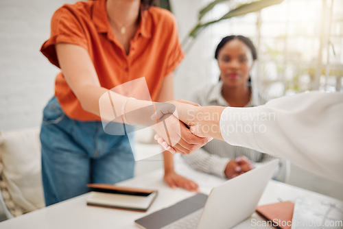 Image of Businesswomen shaking hands in the office for a deal, partnership or corporate collaboration. Meeting, welcome and closeup of female employees with a handshake for an onboarding, hiring or agreement.