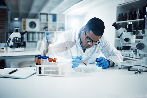 Image of Science, analysis and male scientist in a laboratory doing research with blood samples or tests. Dna, medical innovation and professional man researcher working on a rna project in pharmaceutical lab