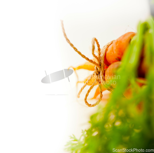 Image of baby carrots bunch tied with rope