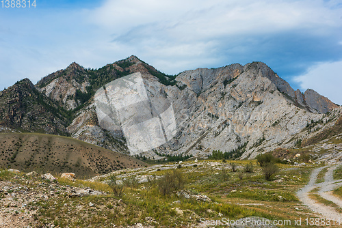 Image of Beauty day in the mountains