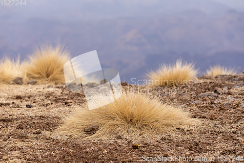 Image of Semien or Simien Mountains, Ethiopia, Africa