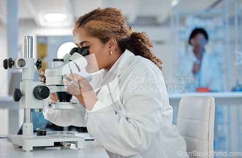 Image of Science, development and microscope with a woman at work in a laboratory for research or innovation. Healthcare, medical and investigation with a female scientist working in a lab for pharmaceuticals