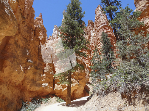 Image of Bryce Canyon National Park