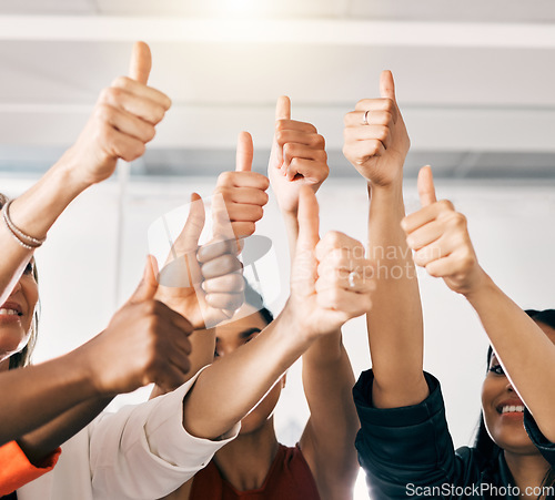 Image of Success, thumbs up and group of people for thank you, support or teamwork hands winning, yes and like emoji. Great, okay and business women or team in collaboration, thanks and winner sign at office