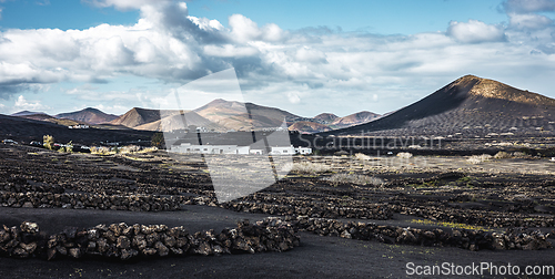 Image of Traditional white houses in black volcanic landscape of La Geria wine growing region with view of Timanfaya National Park in Lanzarote. Touristic attraction in Lanzarote island, Canary Islands, Spain.