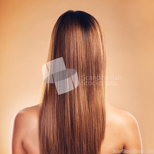 Image of Woman, hair and beauty with hairstyle and back view, haircare and keratin treatment isolated on studio background. Female model with highlights, color and cosmetic care, texture and growth with shine