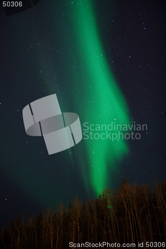 Image of vertical aurora column