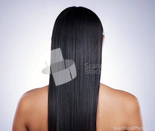 Image of Back, hair care and woman with shine, salon and confident girl against a studio background. Female person, cosmetics or model with treatment, grooming or healthy scalp with luxury, glow and self care