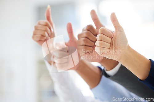 Image of Closeup, business and group with thumbs up, support and agreement with approval, collaboration and opportunity. Zoom, staff or team with hand gesture, symbol or solidarity with success or achievement