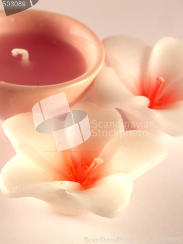 Image of Aromatherapy candles