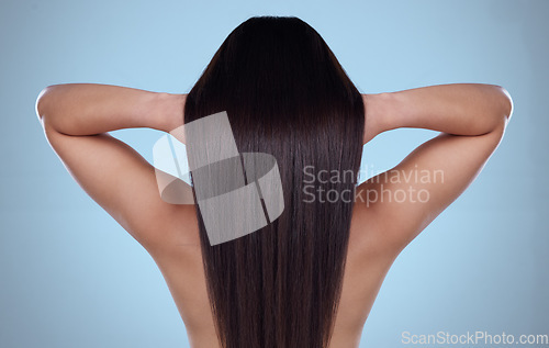 Image of Beauty, hair and back of woman in studio for haircare, cosmetics or salon products on blue background. Girl, model and touch healthy, natural and glowing texture on head or cosmetic extensions