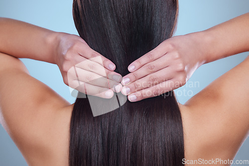 Image of Beauty salon, hair and back of woman in studio for haircare, cosmetics or shampoo product on blue background. Girl, hands and touch healthy, natural and glowing texture on head or cosmetic extensions