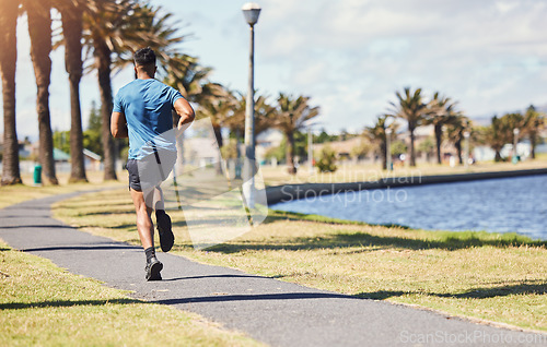 Image of Fitness, running and a man outdoor for exercise, training or cardio health at a park. Back of male athlete on path by nature canal for morning workout, run and performance goals or healthy lifestyle