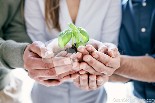 Image of Hands, growth and plant with a business team holding a pile of soil for agriculture, sustainability or development. Earth day, spring and nurture with a group of people carrying dirt in the office