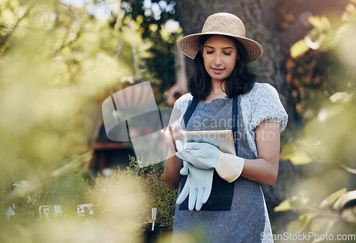 Image of Florist woman, tablet and nursery for growth, data and typing on app in sunshine at sustainable small business. Girl, entrepreneur and inspection for plants, leaves and nature with analysis in spring