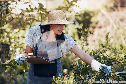 Image of Florist woman, inspection and checklist in nursery, data and plant growth in sunshine at sustainable small business. Girl, entrepreneur and check for plants, leaves or nature with clipboard in spring