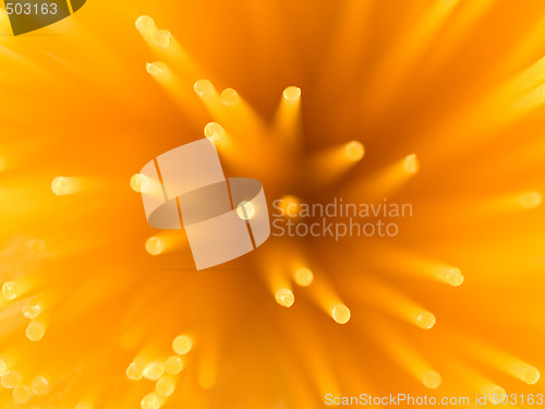 Image of Uncooked Italian pasta Spaghetti background