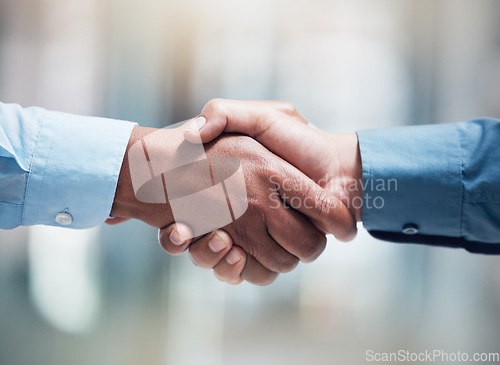 Image of Thank you, businesspeople shaking hands and at office of their workplace together. Partnership or agreement, crm or interview and professional people with a handshake for greeting at their work